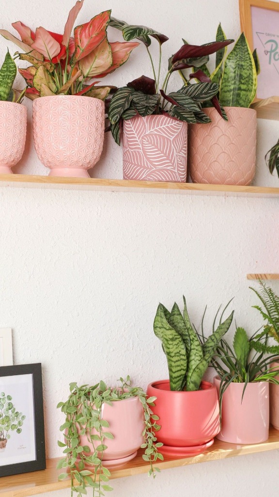 Shelf display with pink textured pots